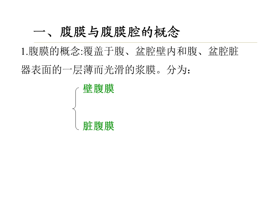 腹膜、腹膜腔、结肠上区解剖.ppt_第2页