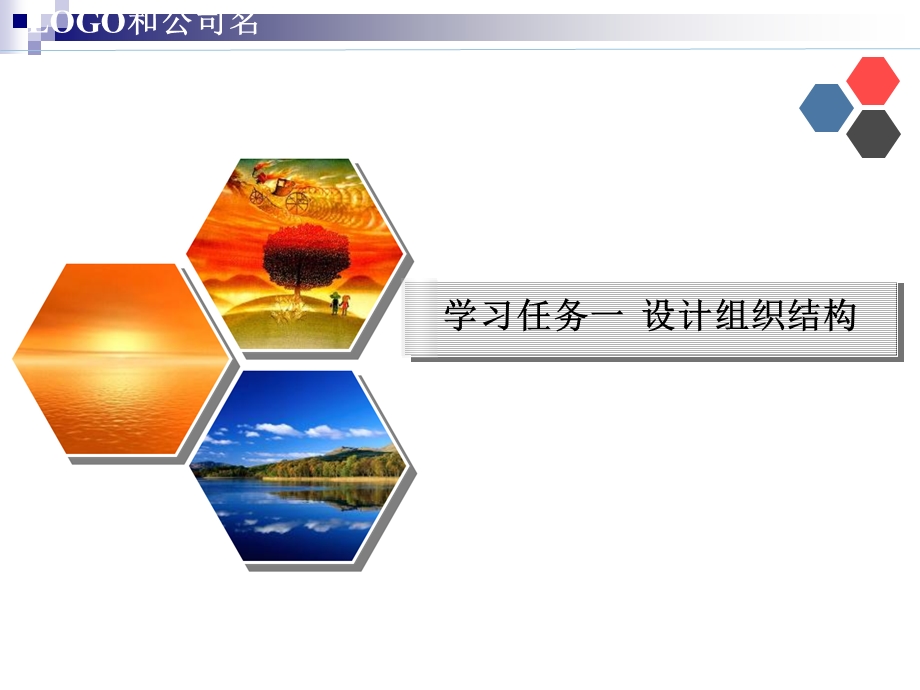 管理学基础组织.ppt_第3页