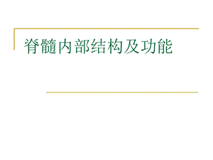 脊髓内部结构.ppt