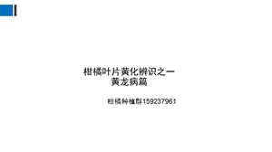 柑橘叶片黄化辨识之一：黄龙病篇.ppt