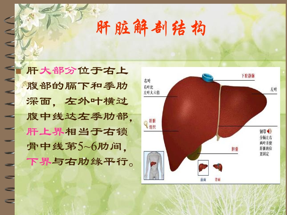 肝癌患者的护理.ppt_第3页