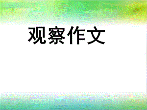 观察作文作文指导.ppt