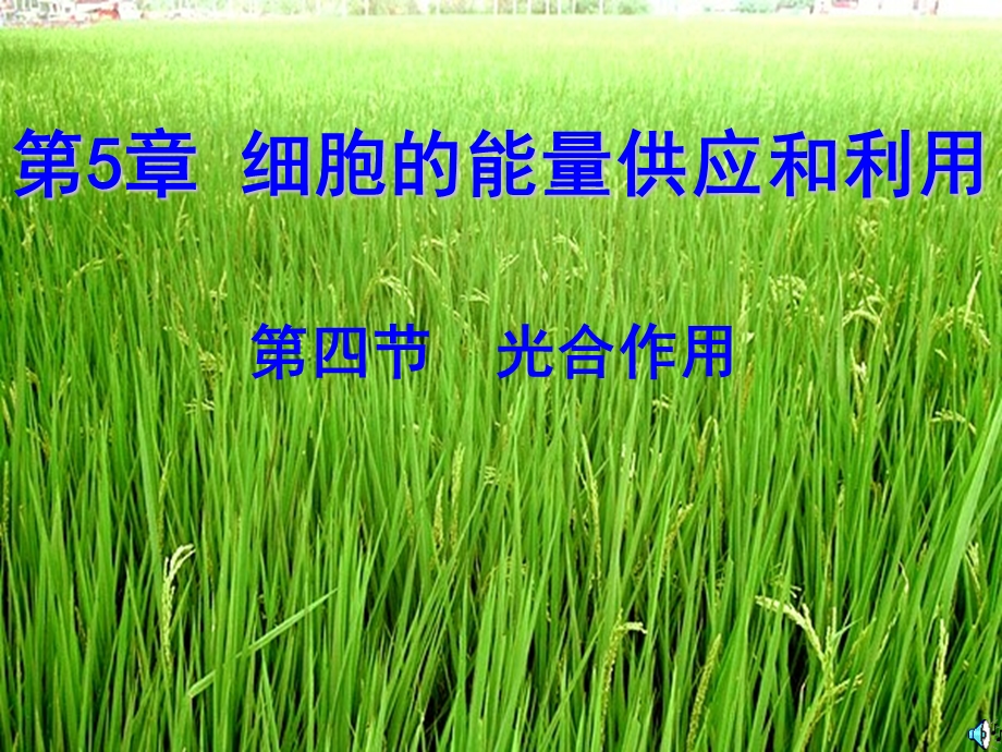 高一生物光合作用课件.ppt_第1页