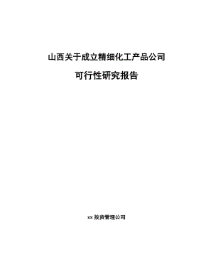 山西关于成立精细化工产品公司可行性研究报告.docx