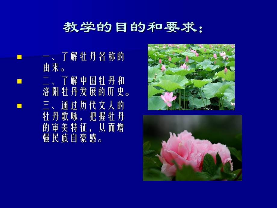 牡丹文化与牡丹诗.ppt_第2页