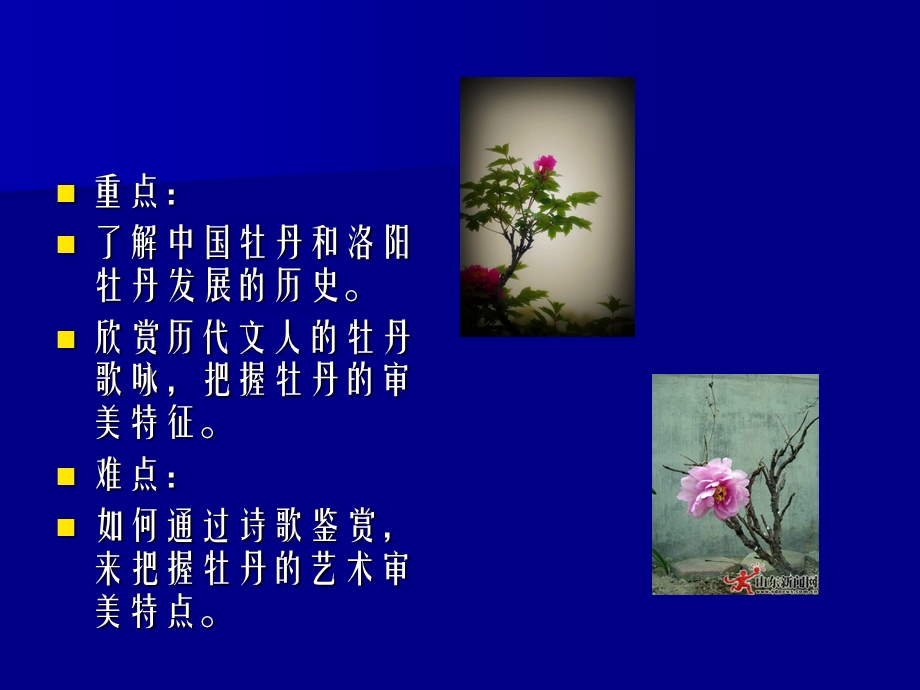 牡丹文化与牡丹诗.ppt_第3页