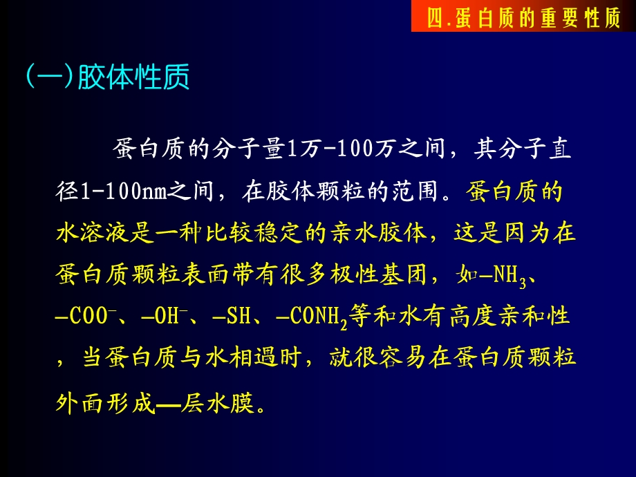 蛋白质重要性质.ppt_第2页