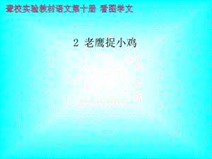 老鹰捉小鸡聋校语文课件.ppt