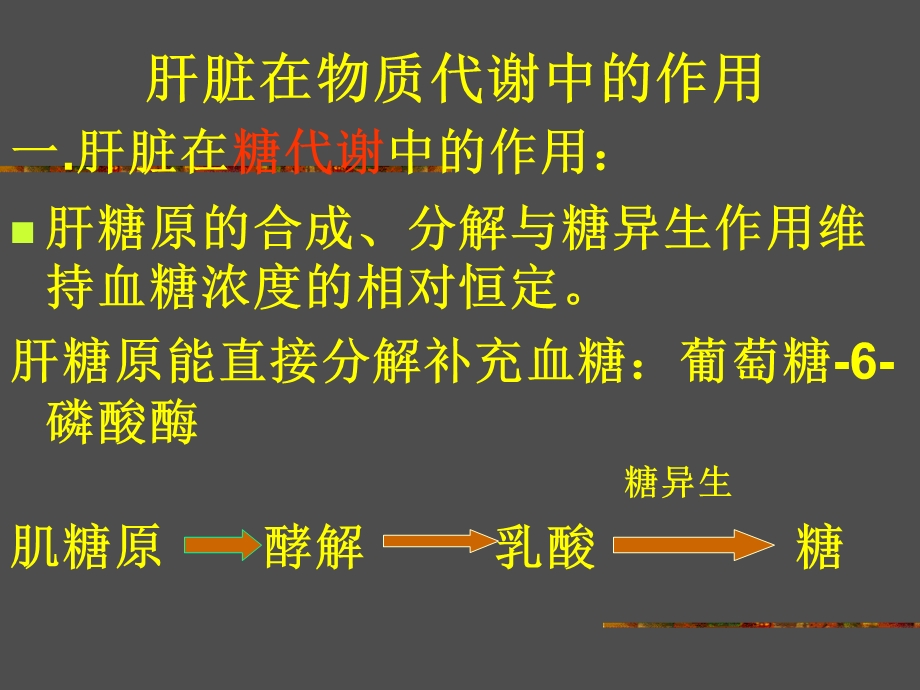 肝脏在物质代谢中的作用.ppt_第2页