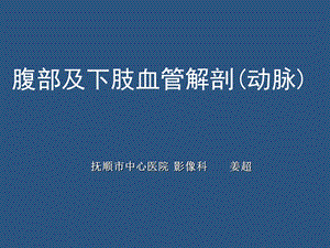 腹部及下肢血管解剖(动脉).ppt