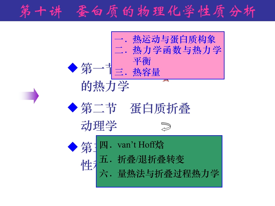 蛋白质的结构测定.ppt_第1页