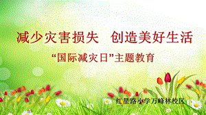 防灾减灾主题班会ppt.ppt