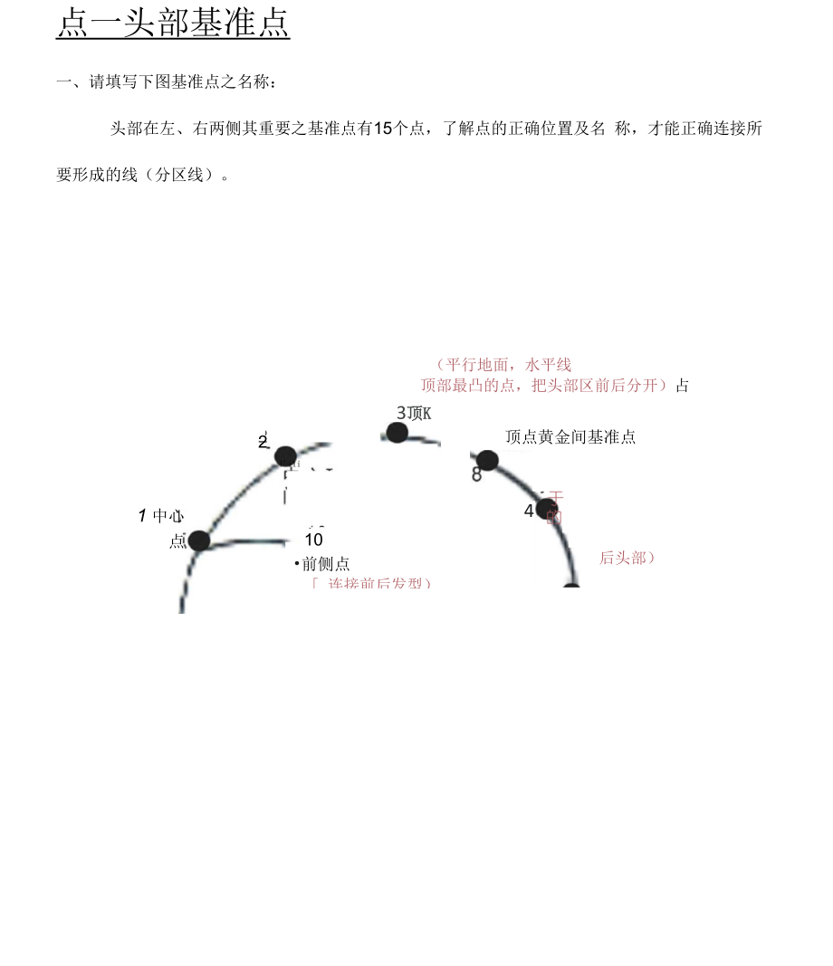 发型师必备美发基础点、线、面剪发知识(20210315090058).docx_第1页