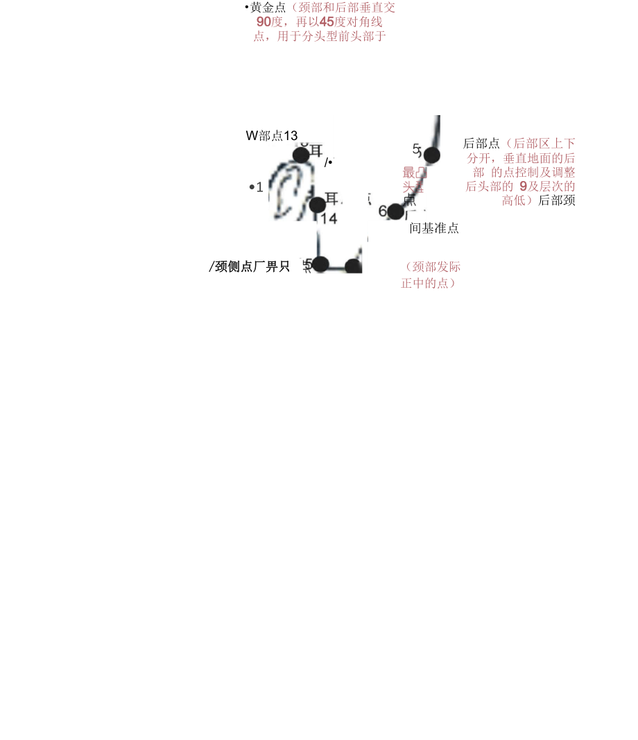 发型师必备美发基础点、线、面剪发知识(20210315090058).docx_第2页