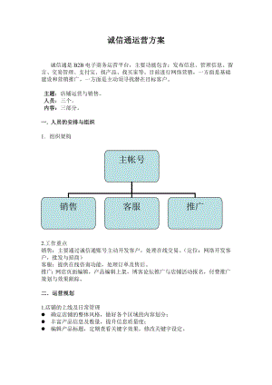 工作计划-诚信通运营方案-.doc