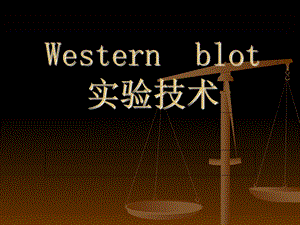 蛋白质印迹法WesternBlot技术.ppt