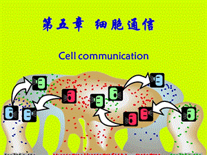 胞生物学第五章细胞通讯.ppt