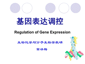 表达调控常冰梅.ppt