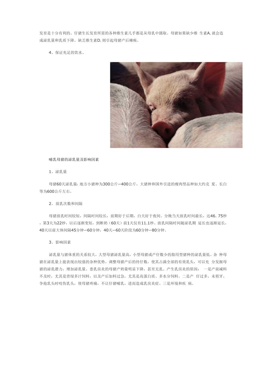 哺乳母猪的饲养管理技术.docx_第2页