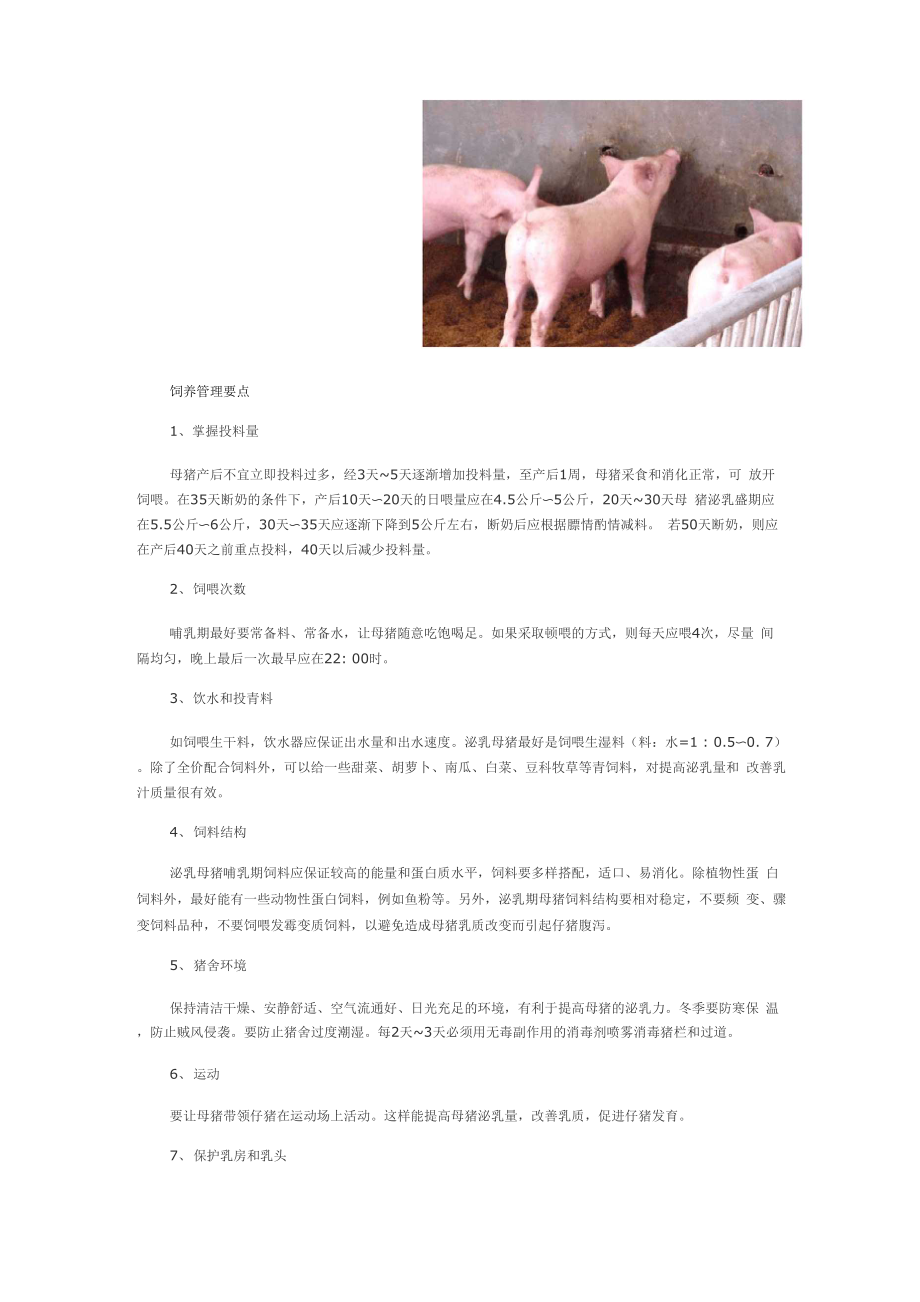 哺乳母猪的饲养管理技术.docx_第3页