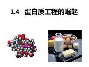 蛋白质工程的崛起(定稿).ppt