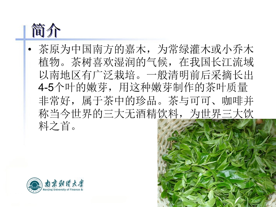 茶的发酵与微生物发酵.ppt_第2页