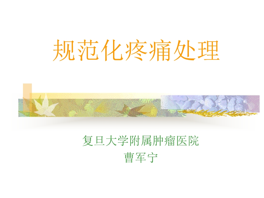 规范化疼痛处理.ppt_第1页