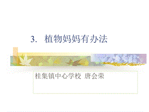 植物妈妈有办法课件.ppt.ppt