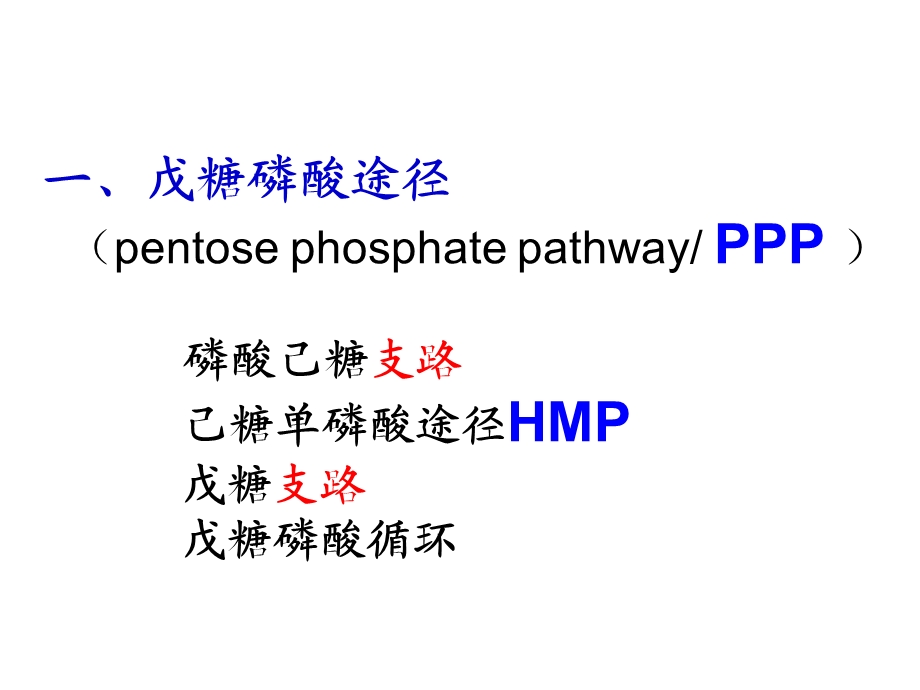 糖类代谢四戊糖途径.ppt_第2页