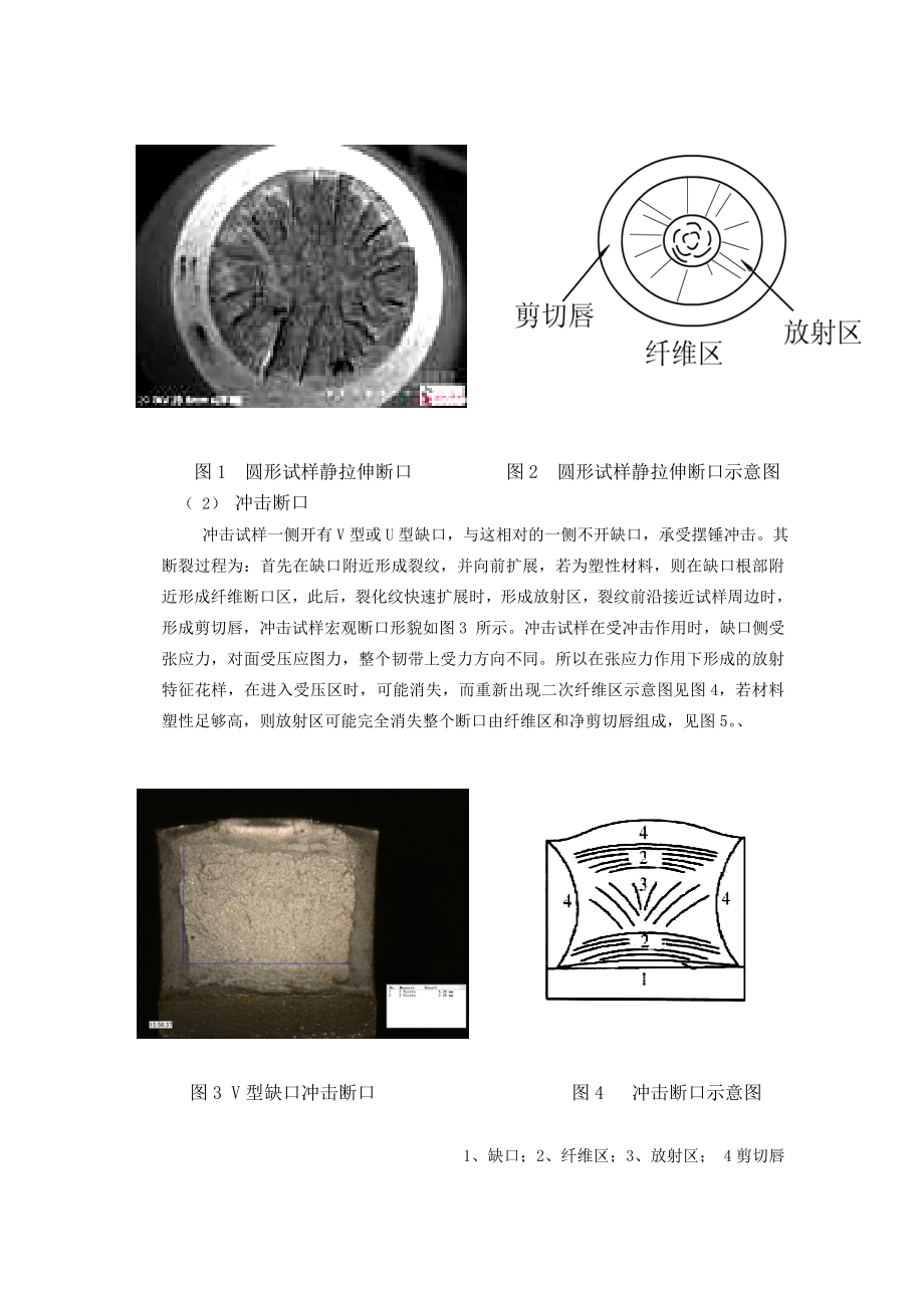 断口分析指导书.doc_第3页