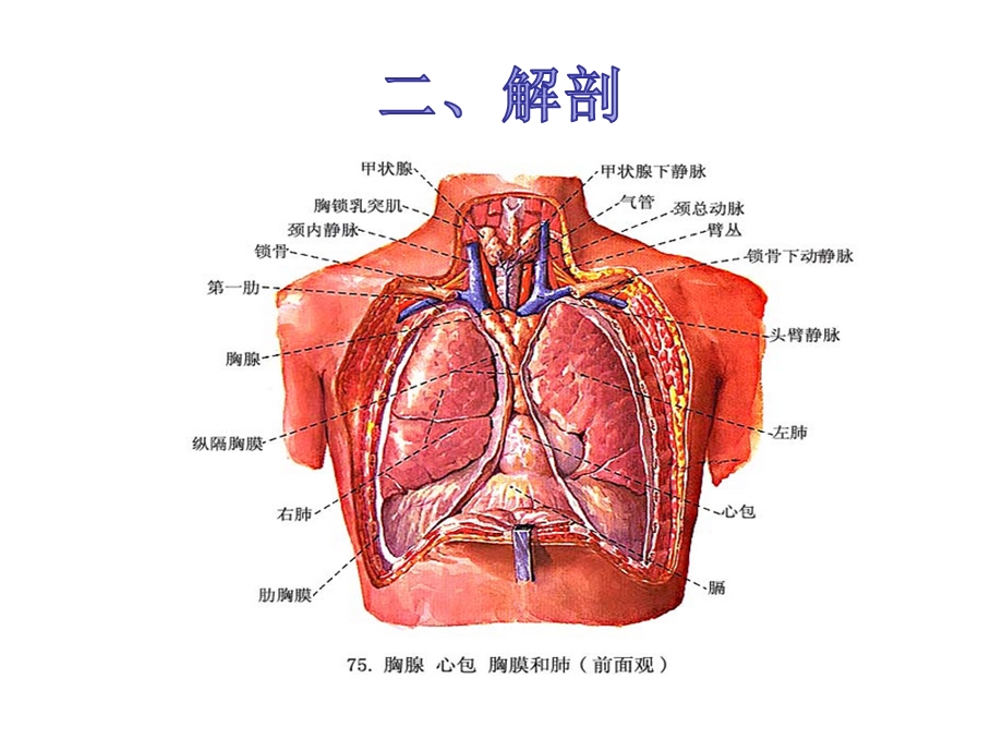 胸腔积液、积气ppt课件.ppt_第3页