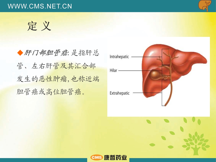 肝门部胆管癌的分型与手术策略.ppt_第3页