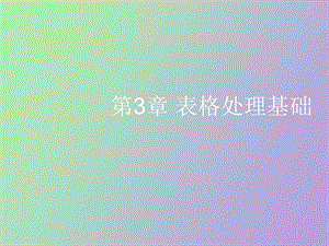 表格处理基础.ppt