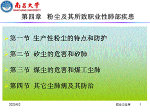 粉尘的职业危害及其防治.ppt