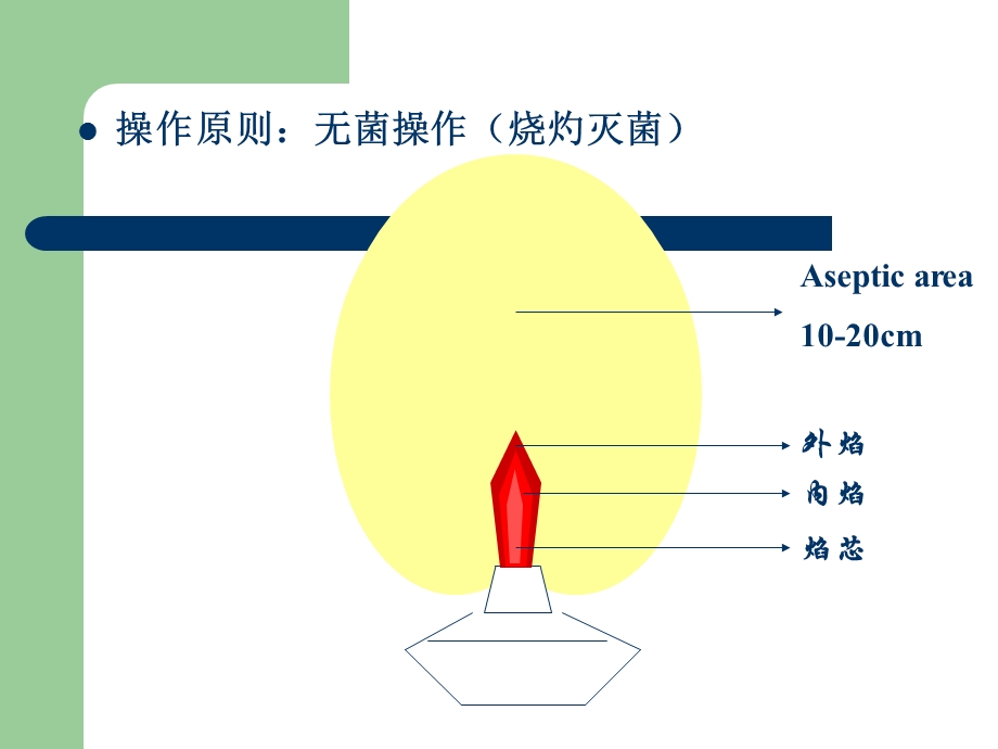 革兰染色和血浆凝固酶实验.ppt_第3页