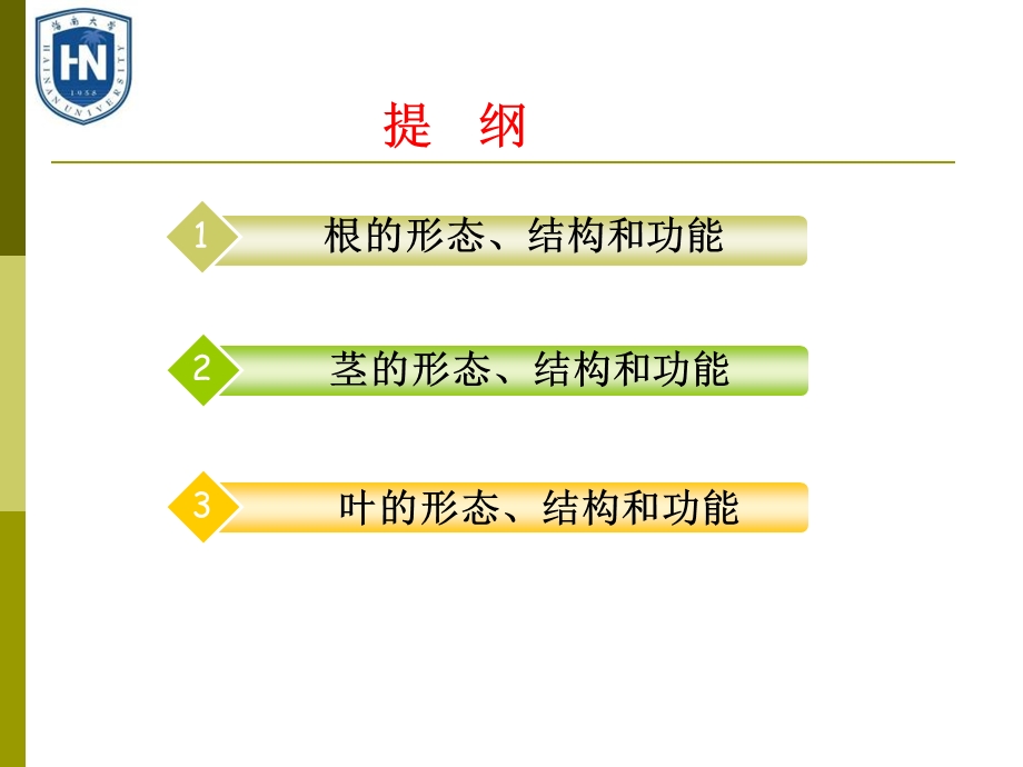 被子植物营养器官.ppt_第2页