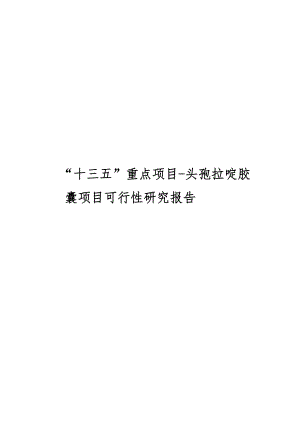 “十三五”重点项目头孢拉啶胶囊项目可行性研究报告[重点].doc