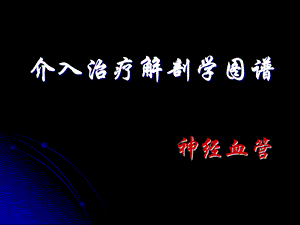 神经血管解剖图.ppt