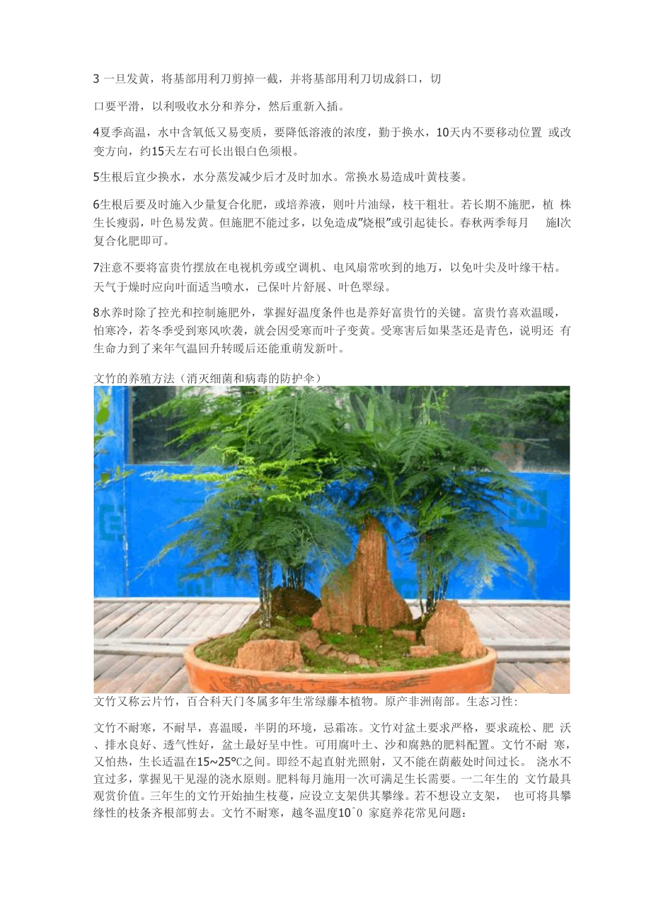 各种植物的养殖方法.docx_第2页