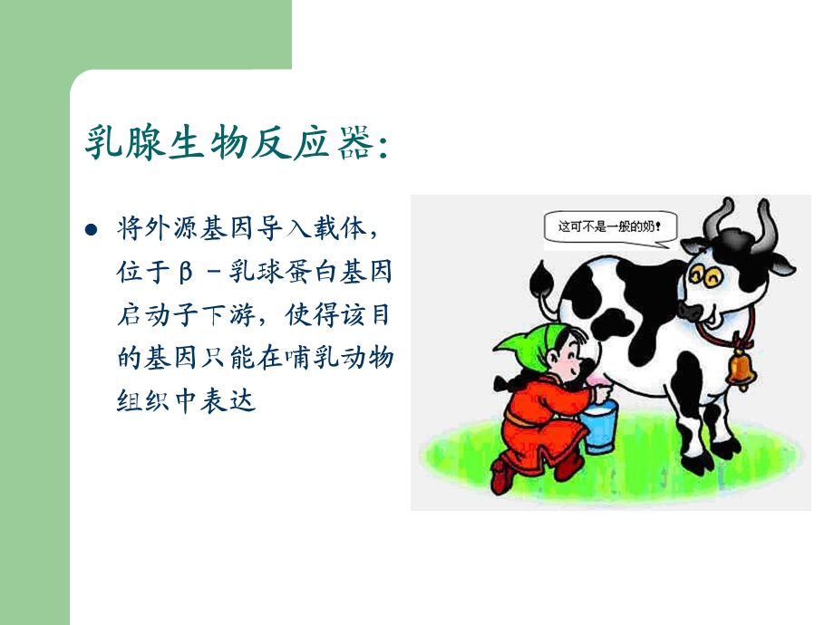 酶反应器及生物酶传感器.ppt_第3页