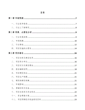 巫山汽车灯具项目可行性研究报告.docx