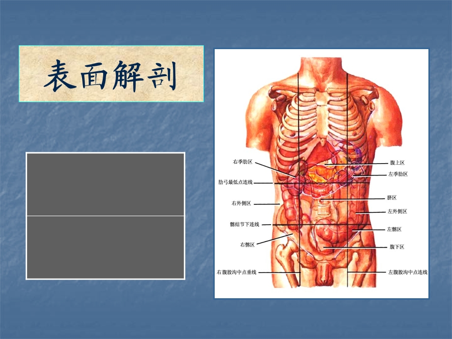 腹部的局部解剖.ppt_第3页