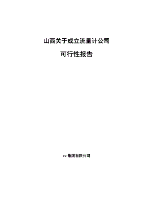 山西关于成立流量计公司可行性报告.docx