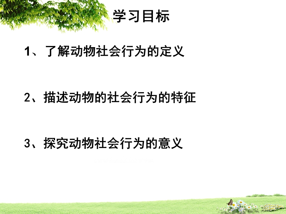 社会行为蚂蚁狒狒群体生活.ppt_第3页