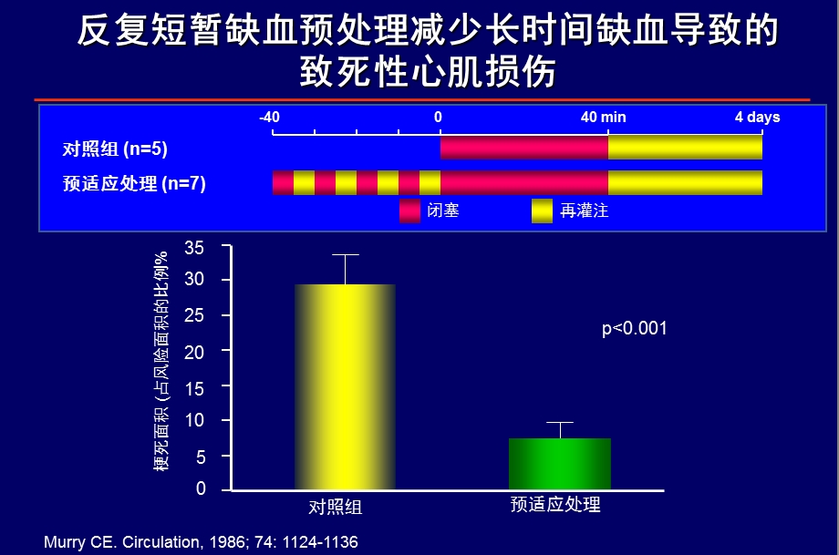 缺血预适应与心脏保护.ppt_第2页