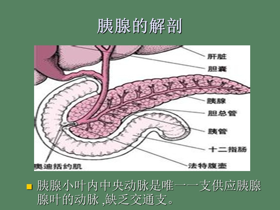 高脂血症性胰腺炎.ppt_第2页