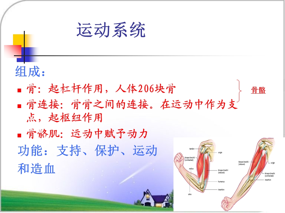 防止骨质疏松提高生活质量.ppt_第3页