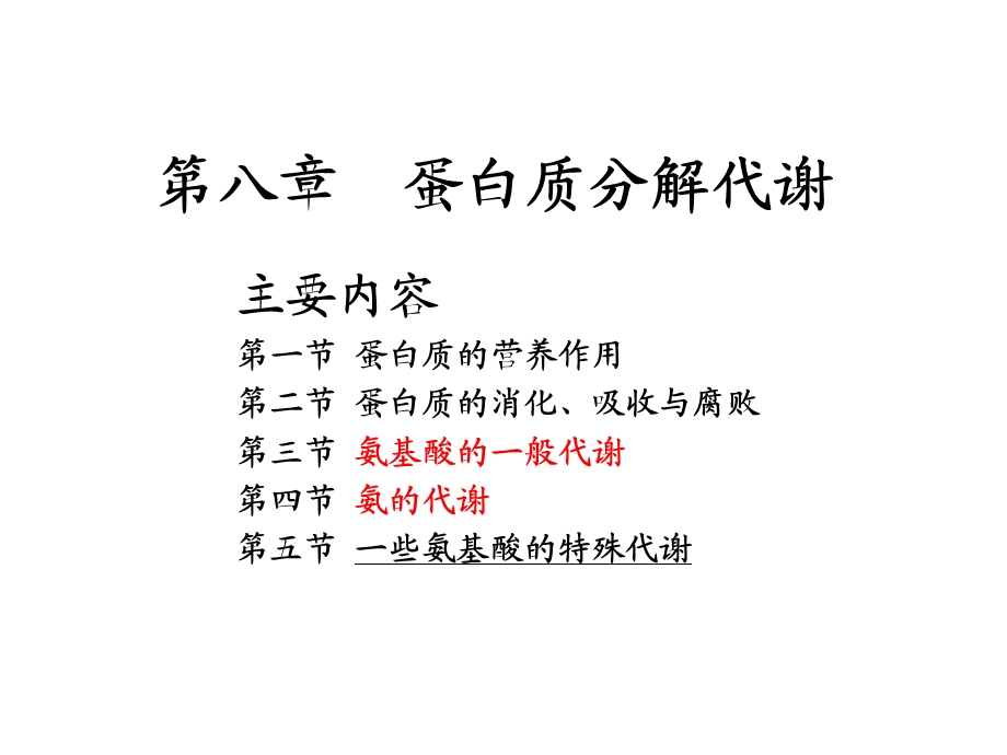 蛋白质分解代谢.ppt_第1页