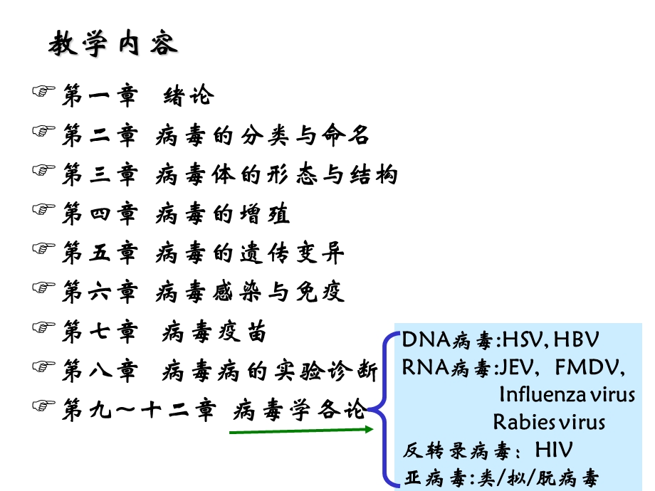 病毒学各章总结.ppt_第2页