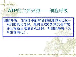 胞呼吸的过程和意义.ppt